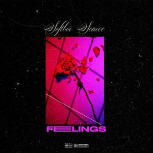 Sofboi Sonice - Feelings (EP)