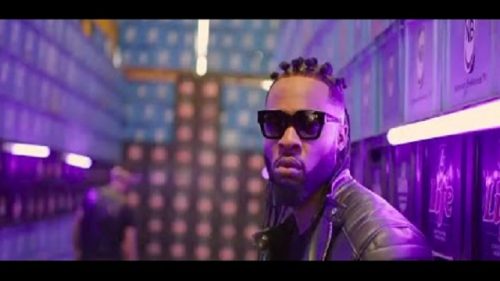 Flavour Chop Life video download
