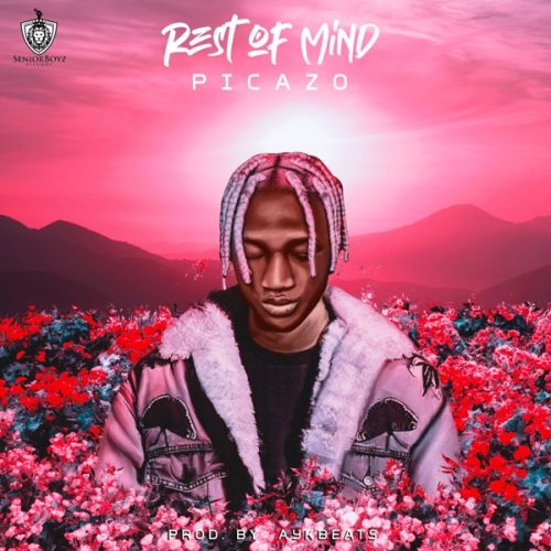 Picazo Rest Of Mind mp3 download