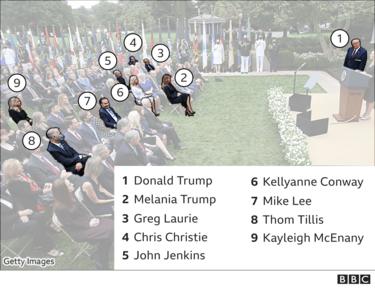 Rose Garden graphic