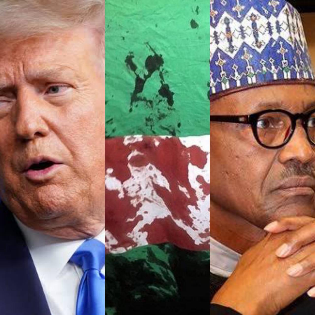 United States Government finally reacts to shootings of #EndSARS protesters by Nigerian military