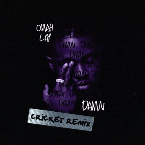 Omah Lay Damn (Cricket Remix) mp3