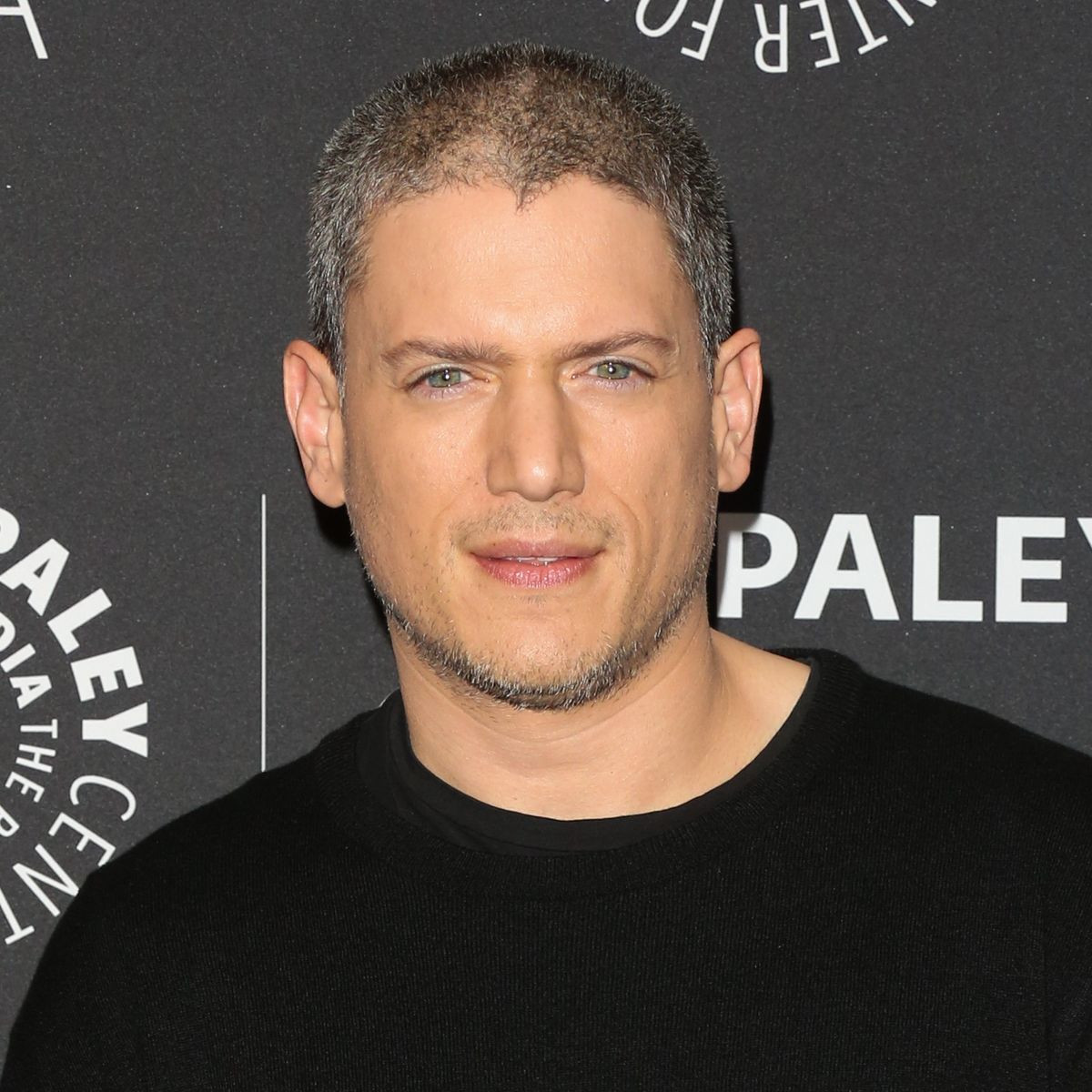 I no longer want to play straight characters ? Prison Break star, Wentworth Miller says after coming out as gay