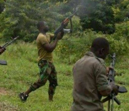 Bandits demand Zamfara farmers pay harvest fee to them before they can harvest their farm produce