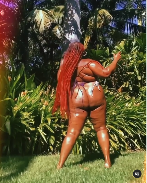 Lizzo flaunts her curves in new bikini photos as she keeps promoting body positivity