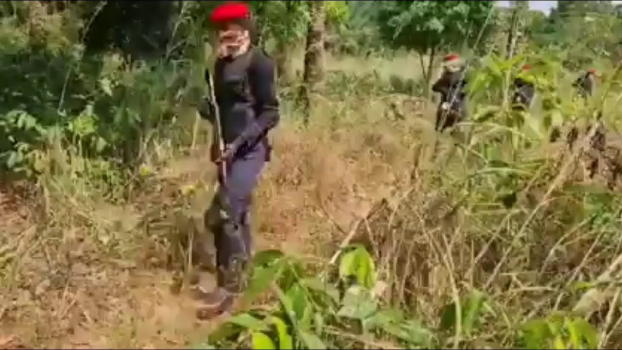 Members of IPOB?s Eastern Security Network spotted on patrol with guns (video)