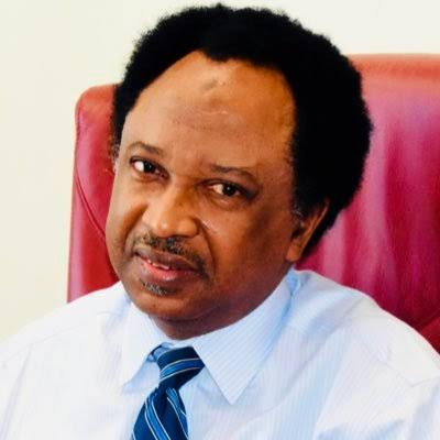 Leave Kukah and fight bandits, Shehu Sani tells northern youths