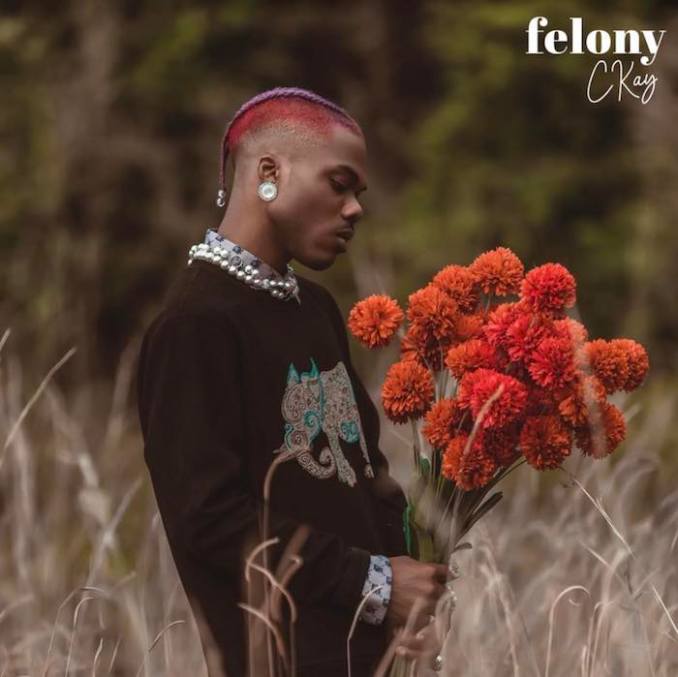 Ckay Felony mp3