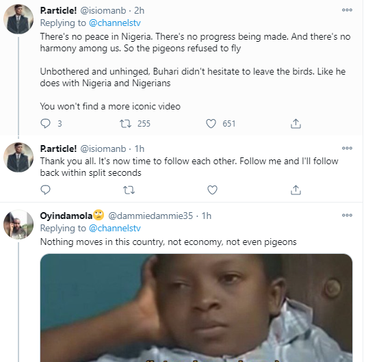 Nigerians react as the white pigeons released by President Buhari at Armed Forces Remembrance Day celebration refused to fly (video)