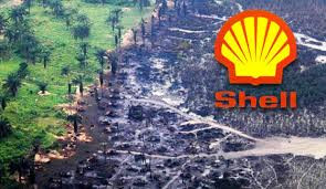 Dutch court orders Shell to pay Nigerian farmers over oil spills