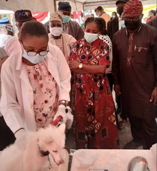 Lagos state to vaccinate 1.5 million dogs for free (photos)