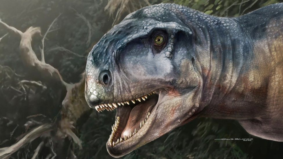 An artist's impression of Llukalkan aliocranianus