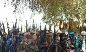 70 Nursing mothers and their children abducted in fresh attacks by bandits in Zamfara