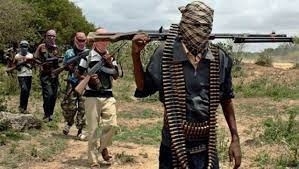 40 women reportedly abducted as bandits attack communities in Katsina
