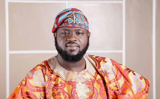 Ogun state governor