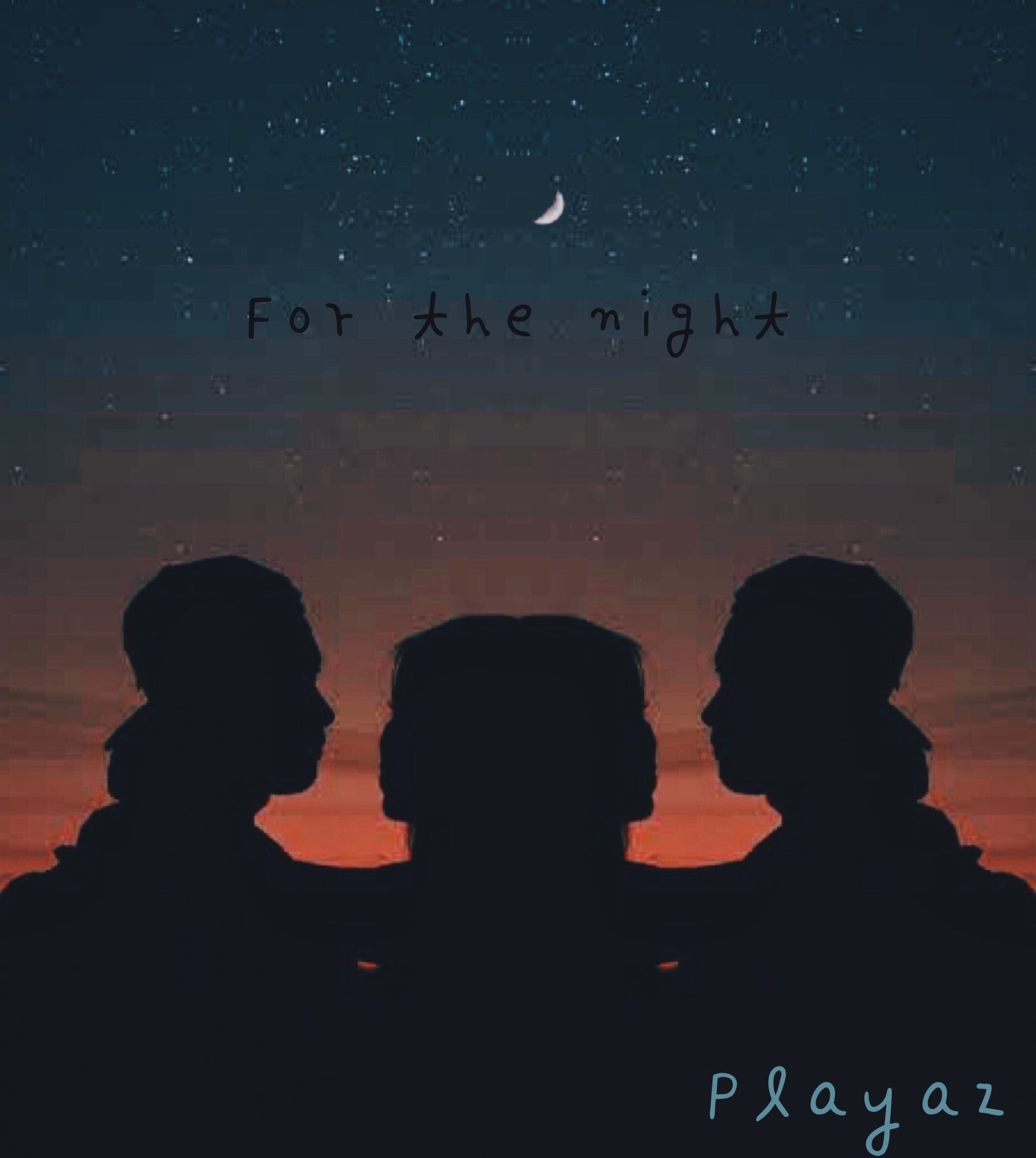 Playaz - For The Night
