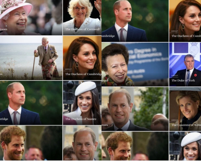 Harry and Meghan ?demoted? below Prince Andrew, and other royals on royal family website