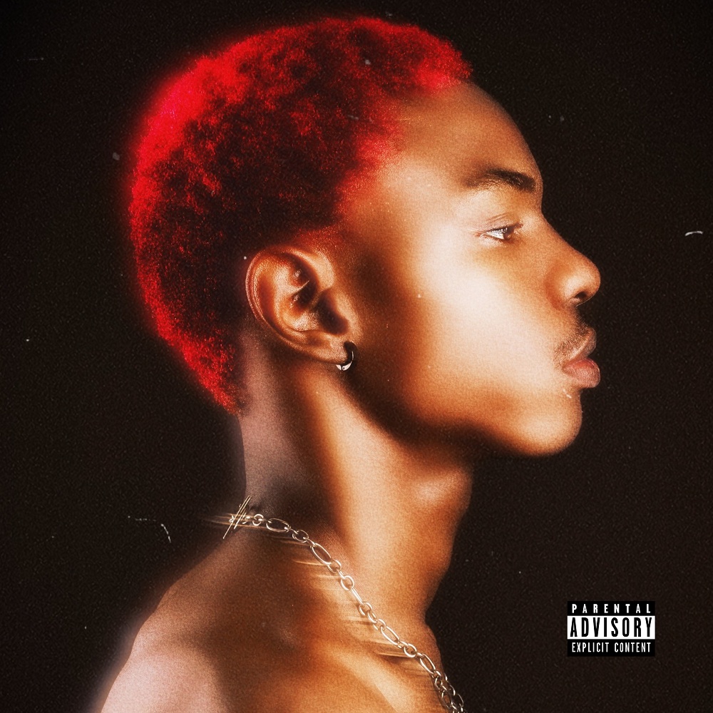 Pzeefire - In A Beautiful Place (EP)