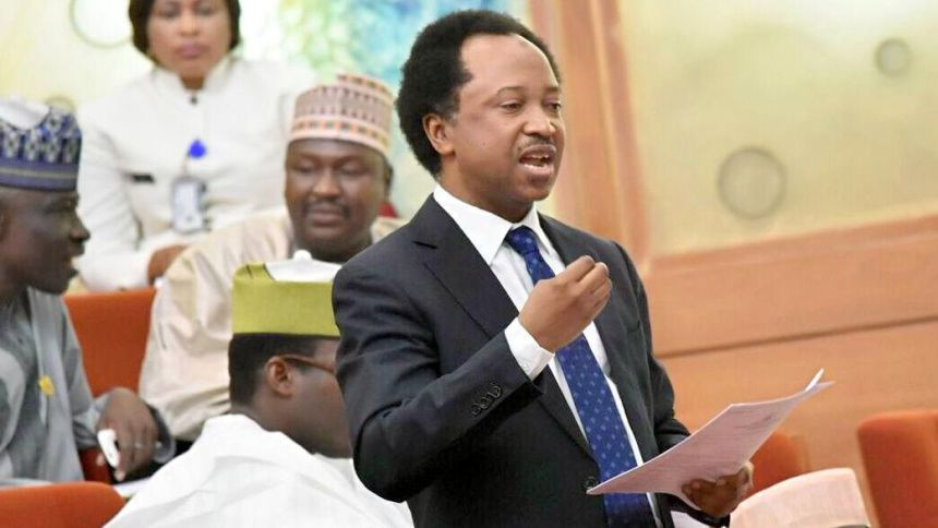 Our democracy legislatively transit to fascism - Shehu Sani reacts to