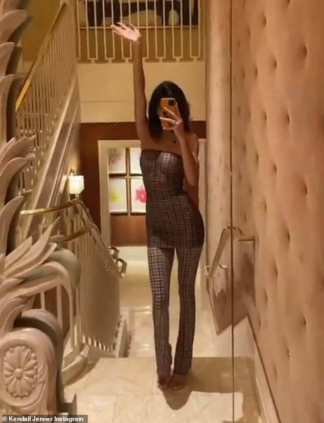 Kendall Jenner leaves nothing to the imagination as she showcases her ni**les in sheer tube top (photos)    