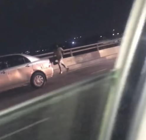 Wandering cow spotted on 3rd mainland Bridge (video)