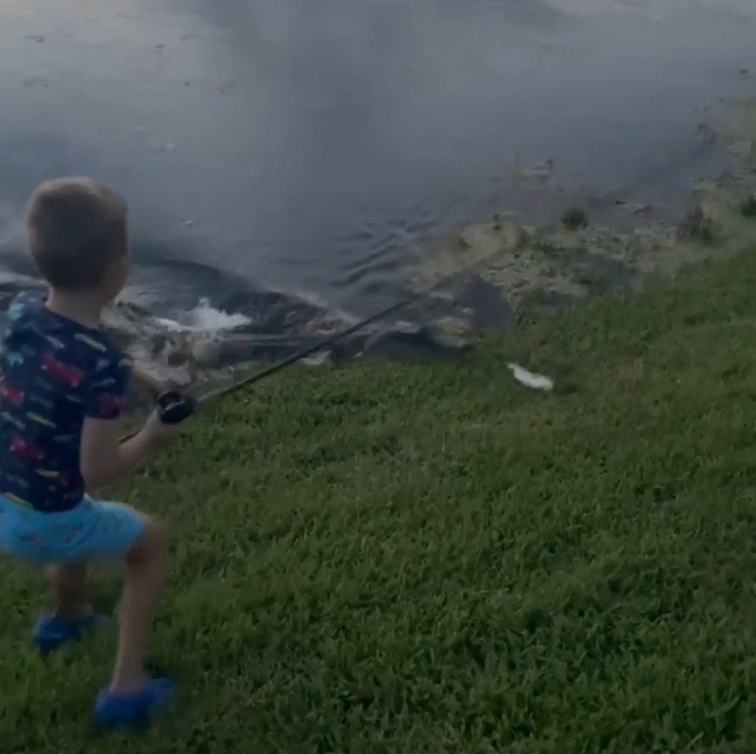 Terrifying moment alligator surges out of water towards young boy fishing (video)