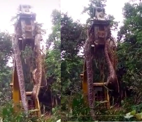 Jaw dropping footage shows "world