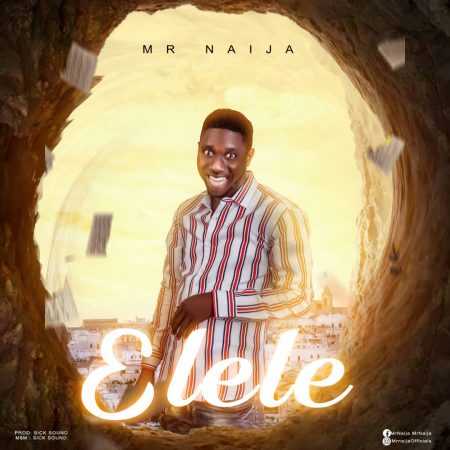 Mr Naija - Elele