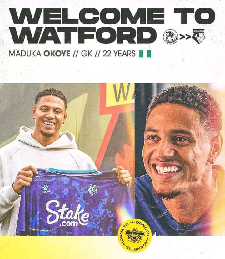 Watford sign Super Eagles goalkeeper Maduka Okoye from Sparta Rotterdam