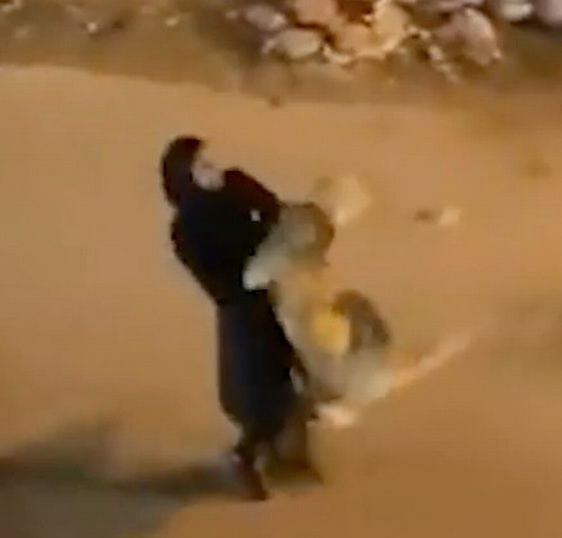 Girl catches escaped lion and casually carries it down the street (photos)