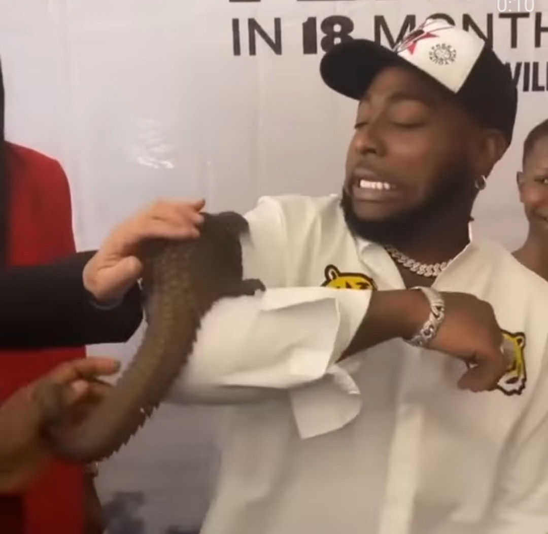 Davido unable to hide his discomfort as a pangolin is placed on his arm (video)