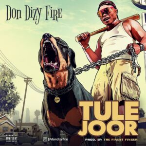 Don Dizy Fire - Tule Joor 