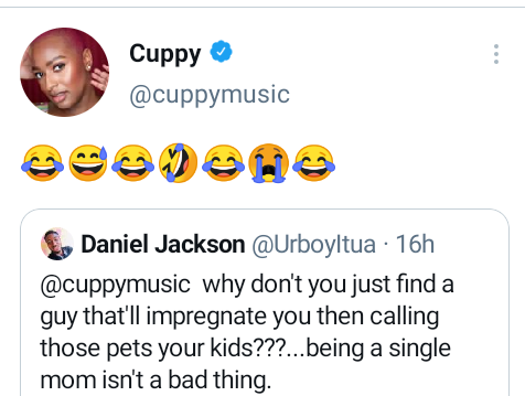 DJ Cuppy reacts after being advised to find a man to impregnate her instead of calling her pets 