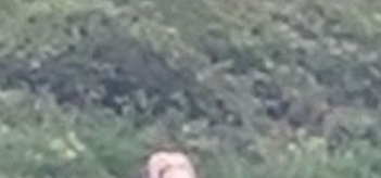 Nude couple captured having?steamy public intercourse on busy seaside cliff as shocked diners watch on (photos)