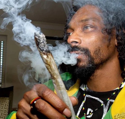 Snoop Dogg admits he has a professional blunt roller who he pays over $50K per year