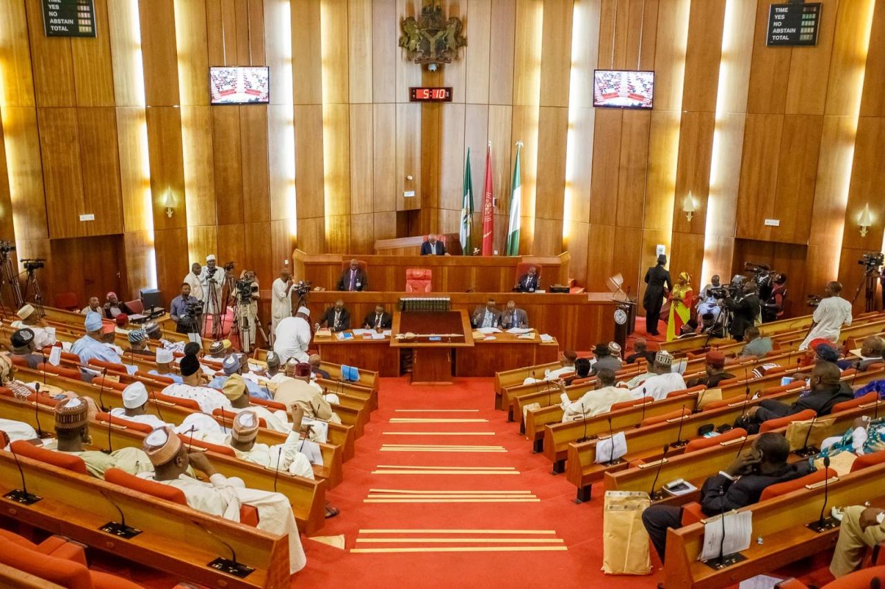 Senate passes electricity bill to boost power distribution
