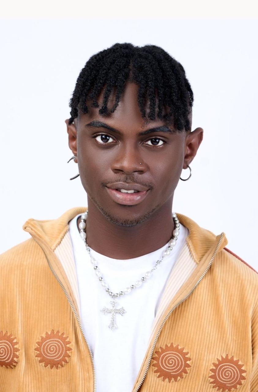 Meet the twelve housemates unveiled on #BBNaija reality show today 