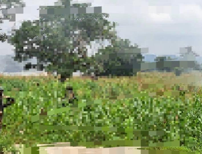 Troops neutralise scores of terrorists in Kaduna, recover arms and motorcycles 
