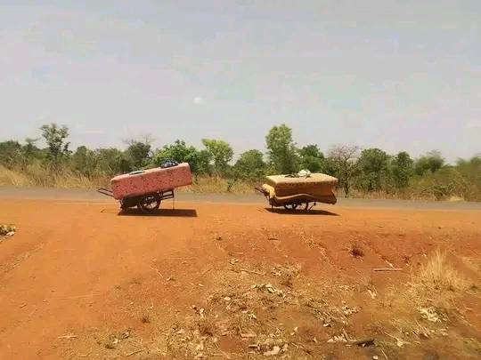 Suspected Fulani herdsmen kill guard and six others in Benue communities