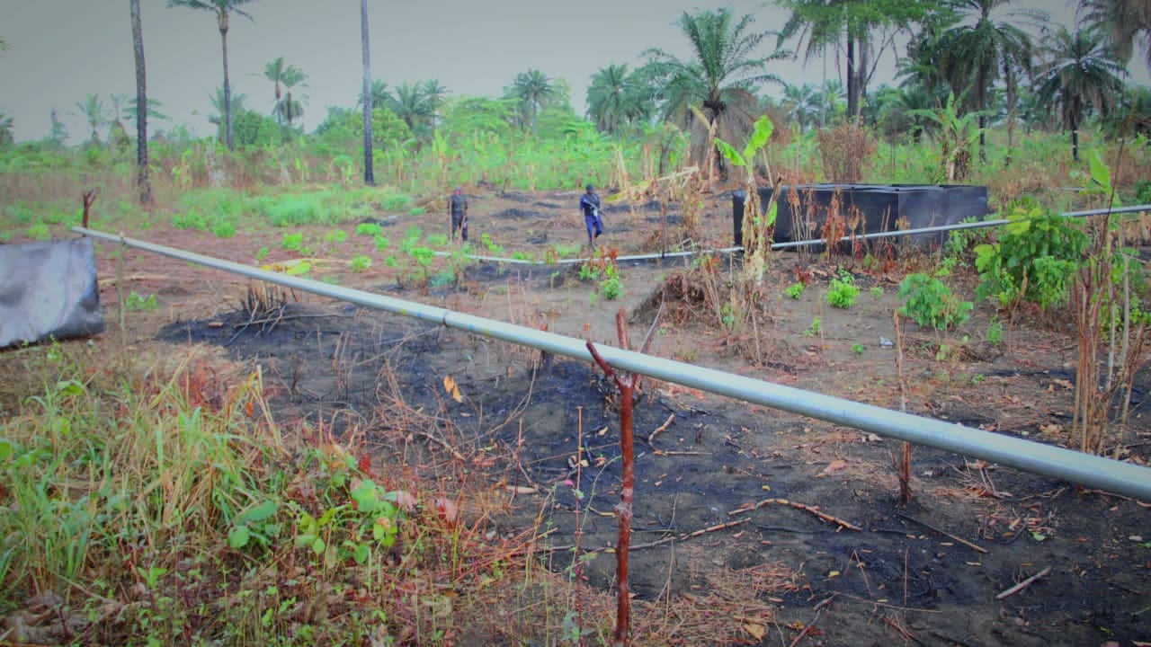 Oil Theft: NSCDC uncovers illegal local refinery in Rivers community