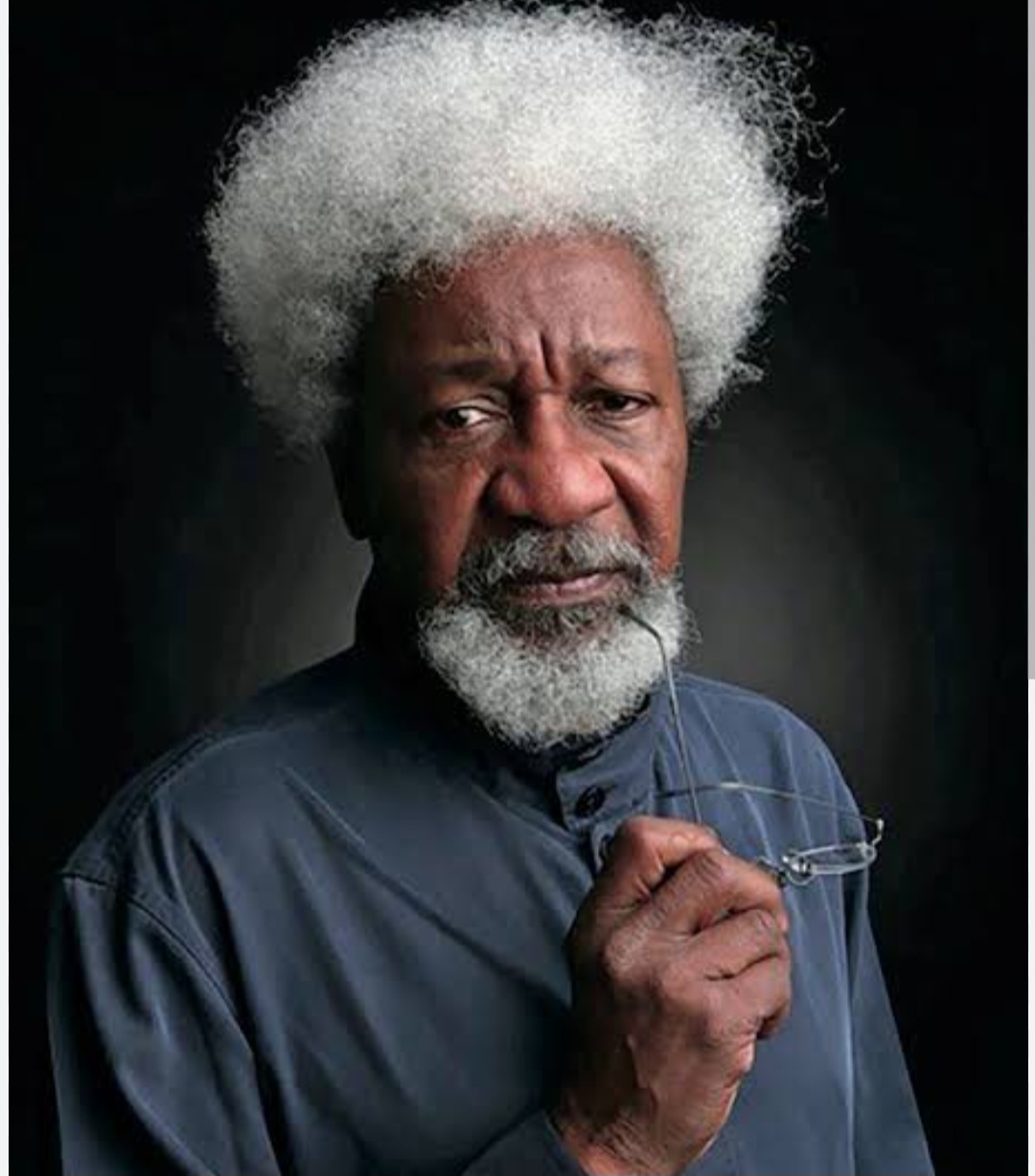 I advised Tinubu, Atiku to step down for younger generation ? Wole Soyinka