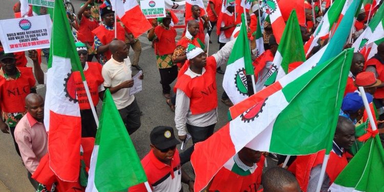 NLC rejects new petrol pump price