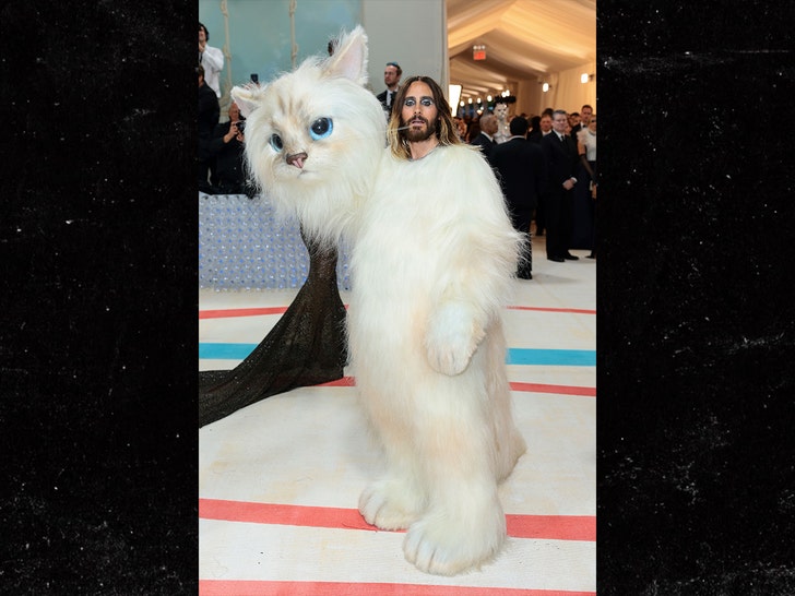 Actor Jared Leto dressed as a cat to the 2023 Met Gala