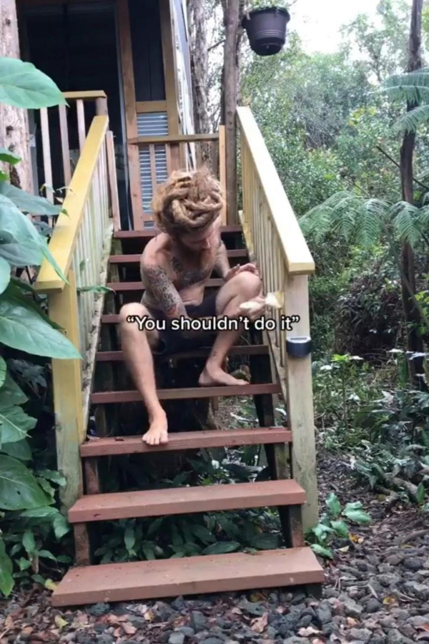 Man quits job in the city then moves into jungle where he drinks rain water and grows his own food to 