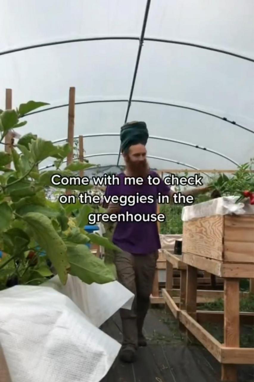 Man quits job in the city then moves into jungle where he drinks rain water and grows his own food to 