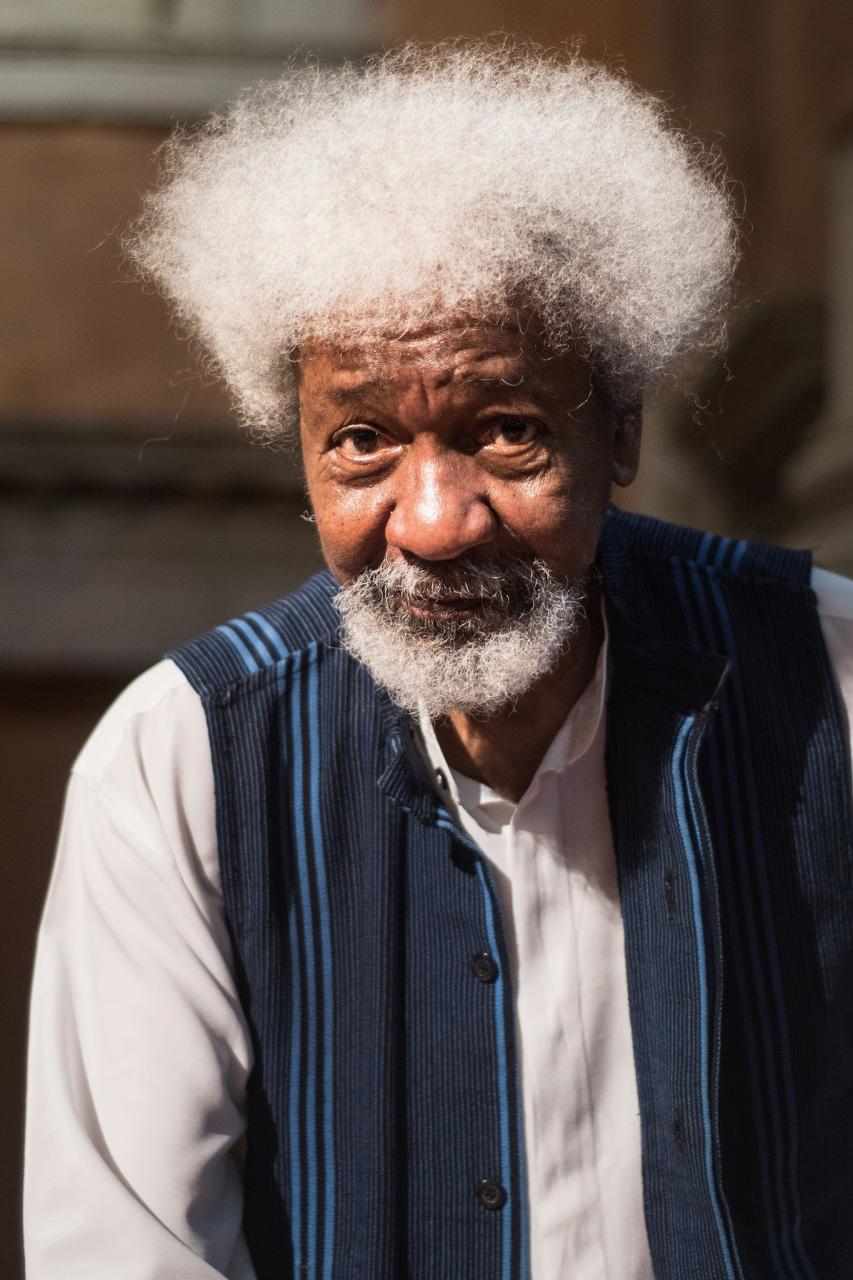 Social media has taken humanity backwards - Wole Soyinka