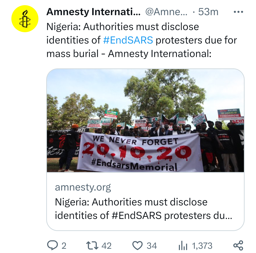 FG must disclose identities of #EndSARS Protesters due for mass burial ? Amnesty International