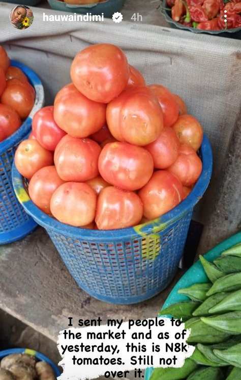 "Still not over it" - Billionaire daughter, Hauwa Indimi laments tomatoes price hike