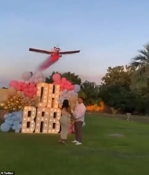 Pilot d!es after his plane crashed during a gender reveal stunt�in front of cheering guests (video)