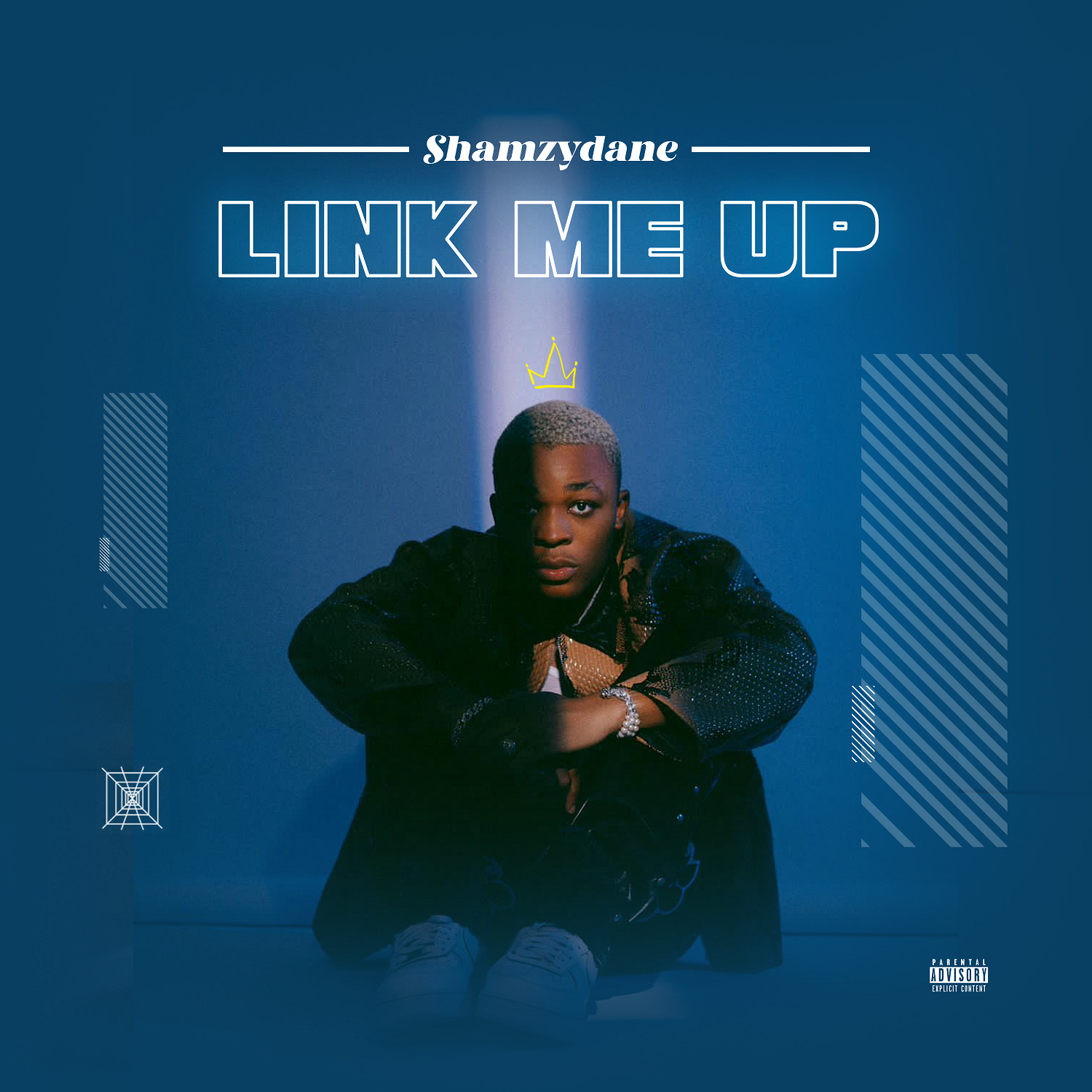 Shamzydane - Link Me Up